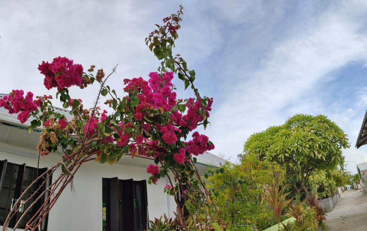 La Isla Tropica Hotel Guraidhoo  Buitenkant foto