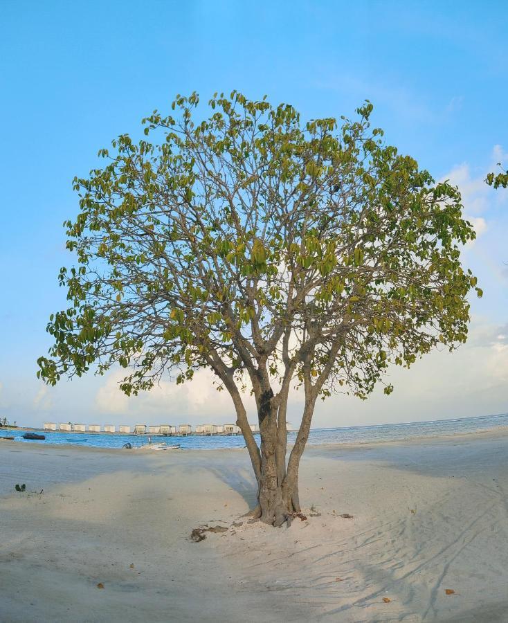 La Isla Tropica Hotel Guraidhoo  Buitenkant foto