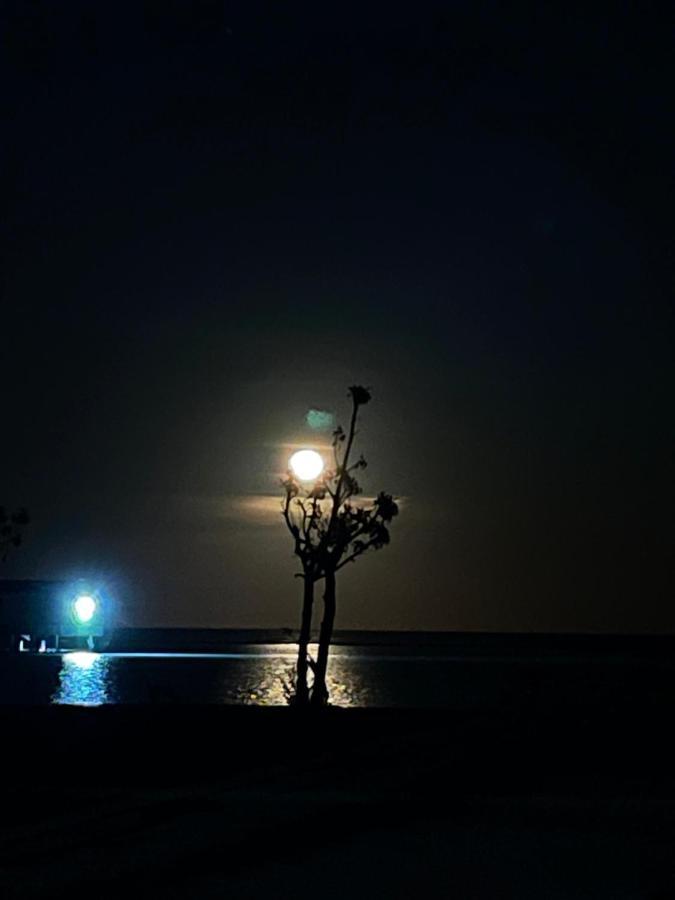 La Isla Tropica Hotel Guraidhoo  Buitenkant foto