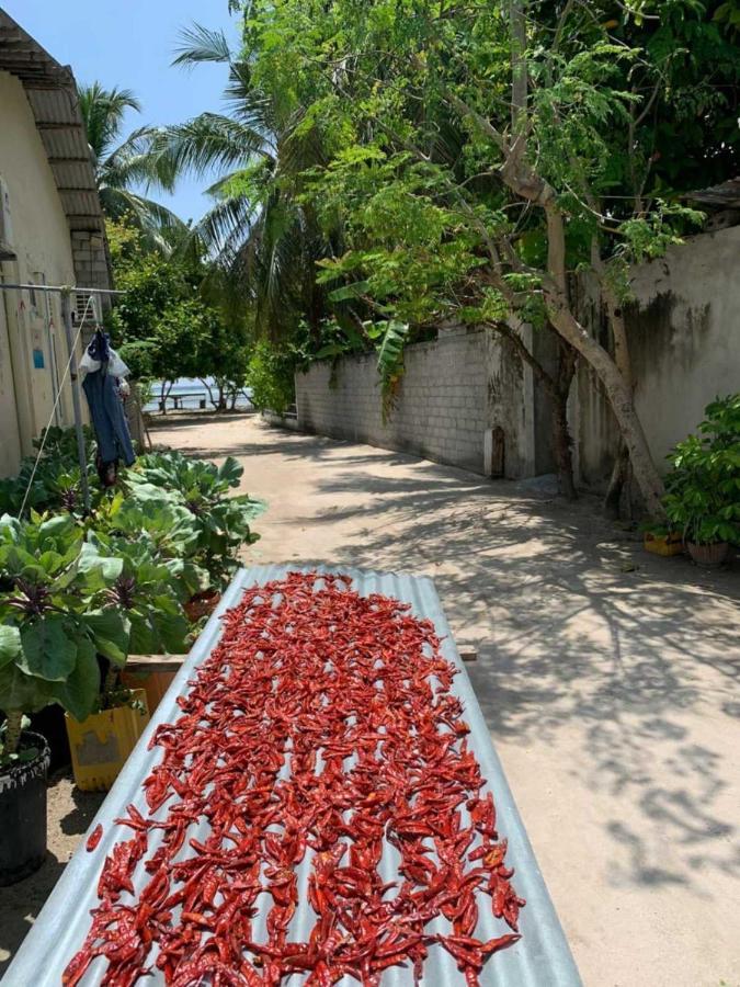 La Isla Tropica Hotel Guraidhoo  Buitenkant foto