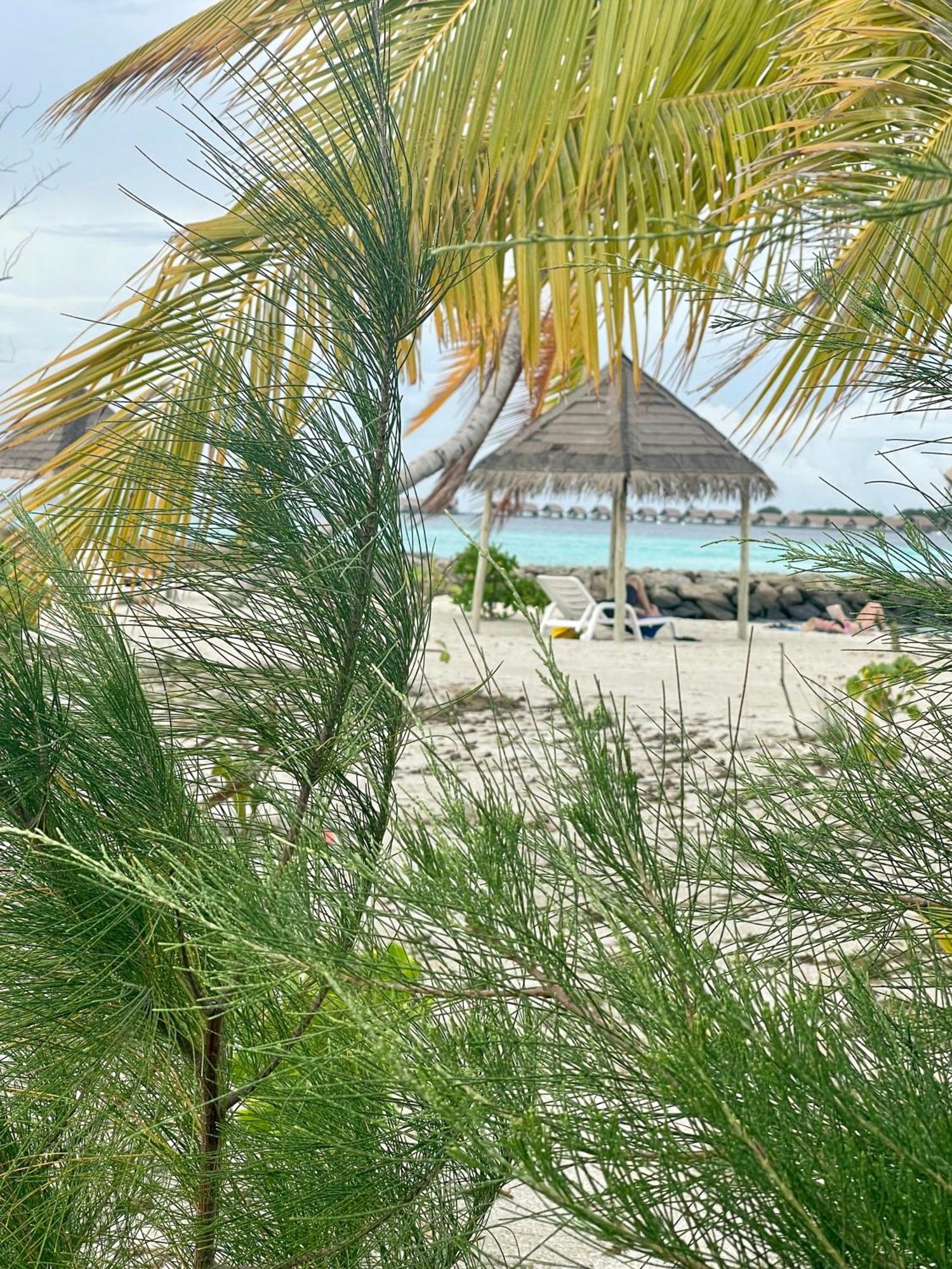 La Isla Tropica Hotel Guraidhoo  Buitenkant foto
