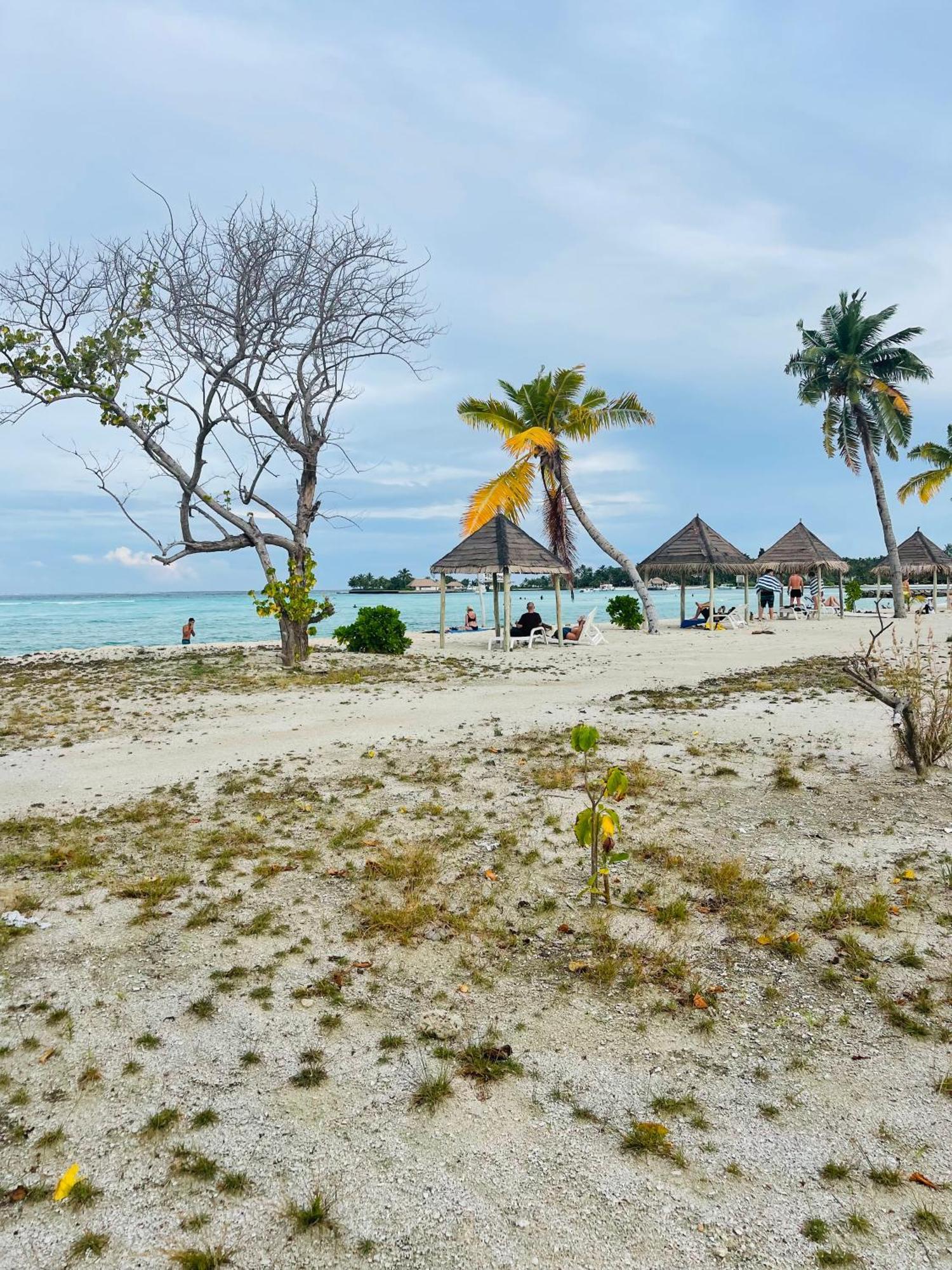 La Isla Tropica Hotel Guraidhoo  Buitenkant foto